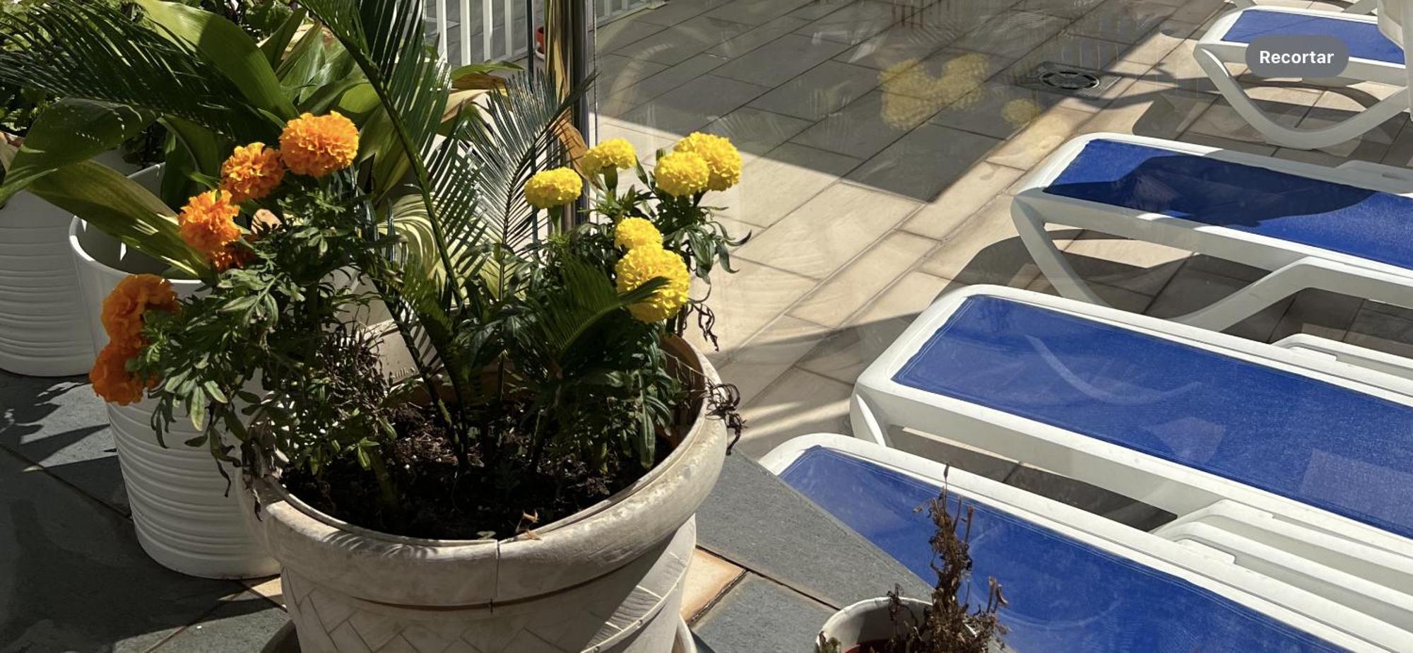 Ancla Real Apartamentos Loft El Puerto de Santa Maria Ngoại thất bức ảnh