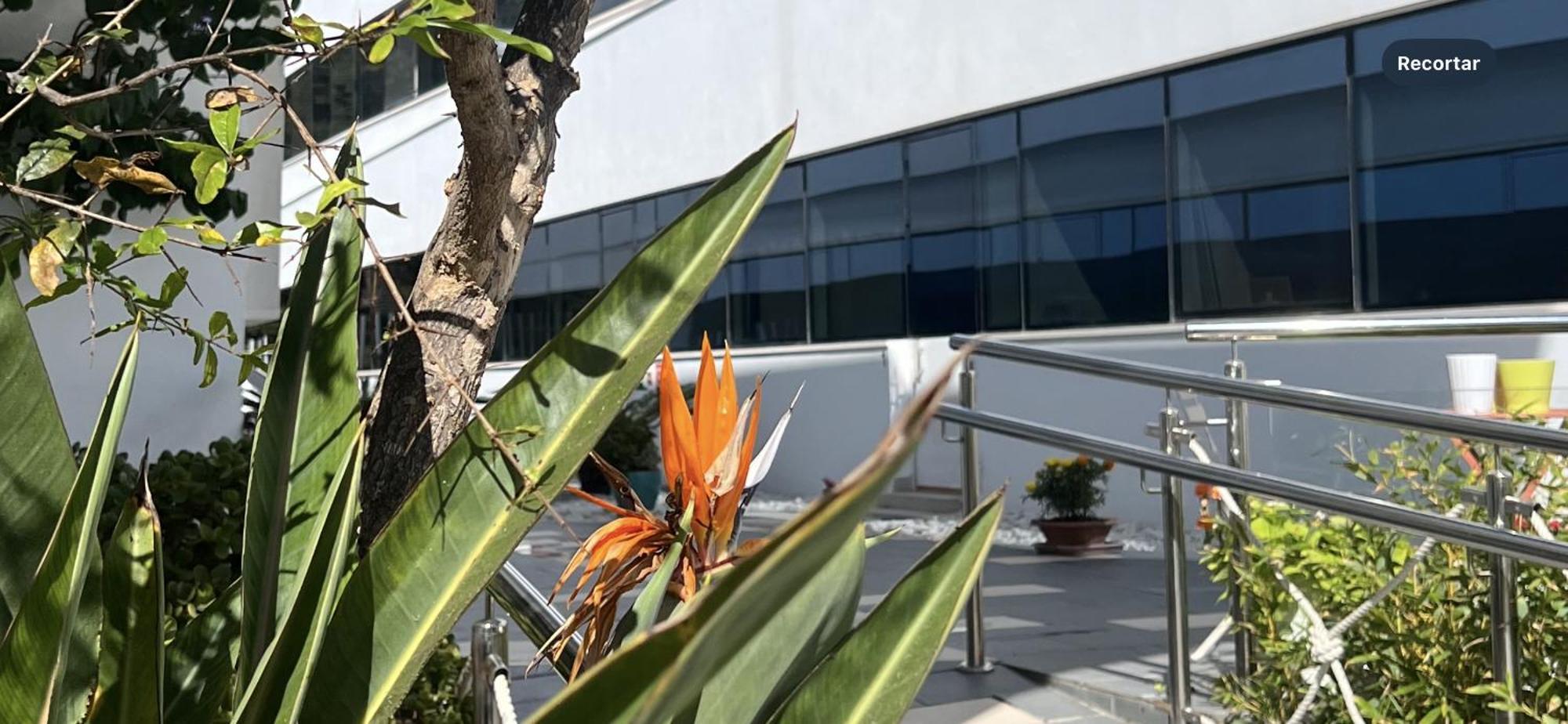 Ancla Real Apartamentos Loft El Puerto de Santa Maria Ngoại thất bức ảnh