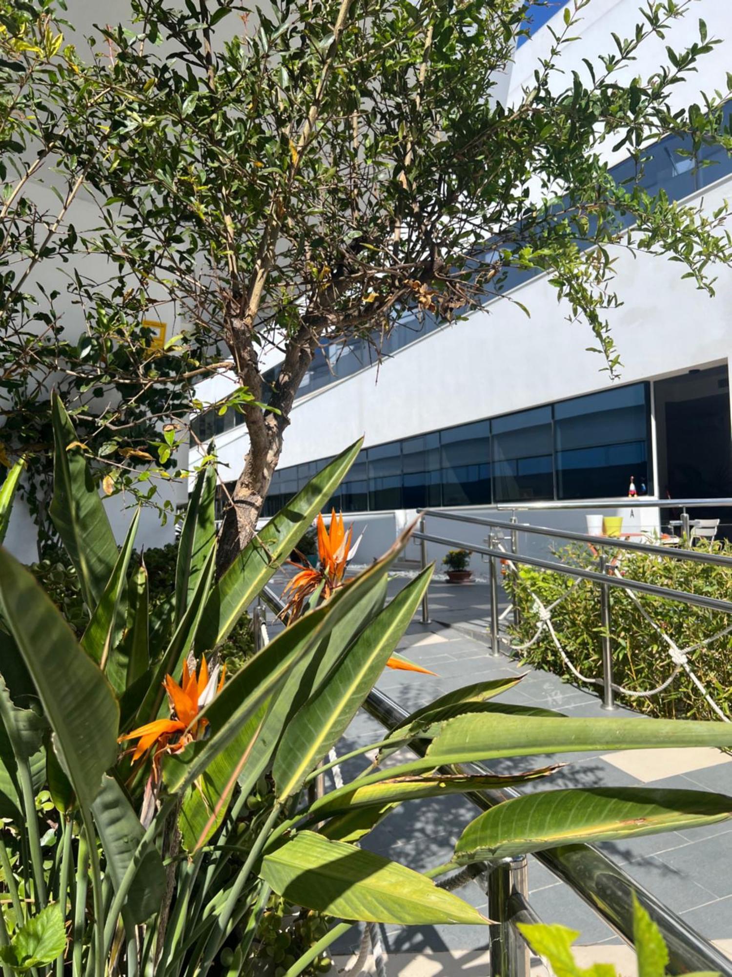 Ancla Real Apartamentos Loft El Puerto de Santa Maria Ngoại thất bức ảnh